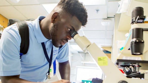UNCF stem scholar male student looking through a microscope