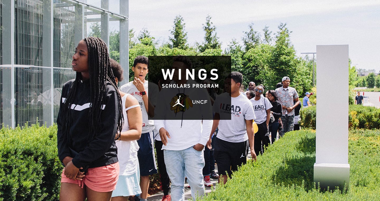 Wings banner image