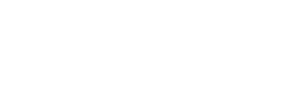 Wings Scholars Program logo