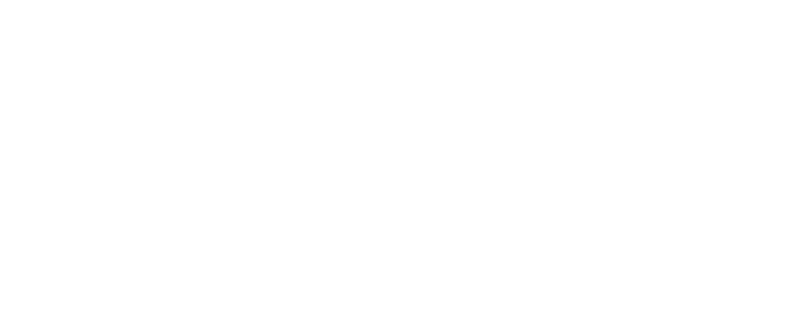 Toyota Scholars Logo