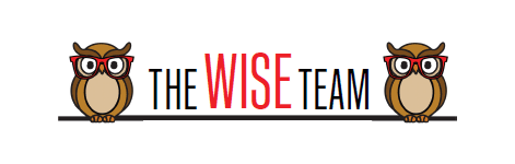 Wise Team logo